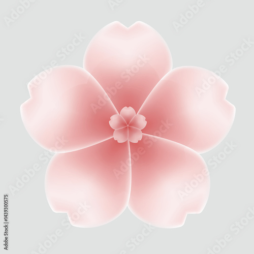 A large pink cherry blossom is in the center.