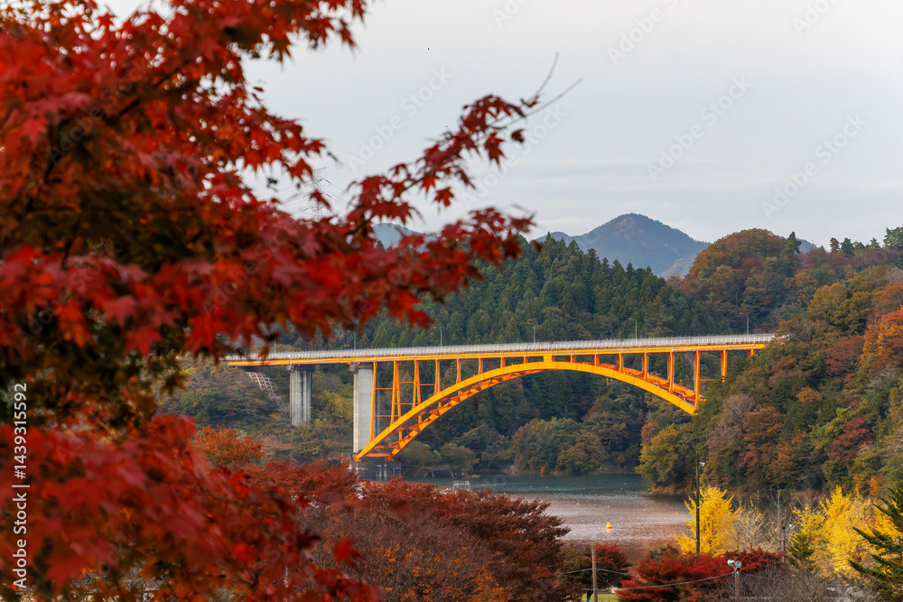 美しい宮ヶ瀬湖と鉄橋
紅葉に彩られた美しい宮ヶ瀬湖。
神奈川県清川村、早戸川林道-2025年