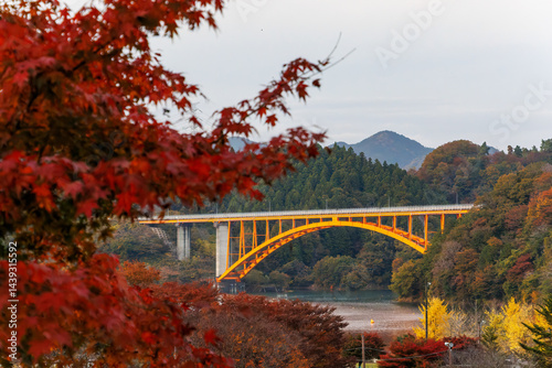 Obraz na płótnie 美しい宮ヶ瀬湖と鉄橋
紅葉に彩られた美しい宮ヶ瀬湖。
神奈川県清川村、早戸川林道-2025年
w salonie