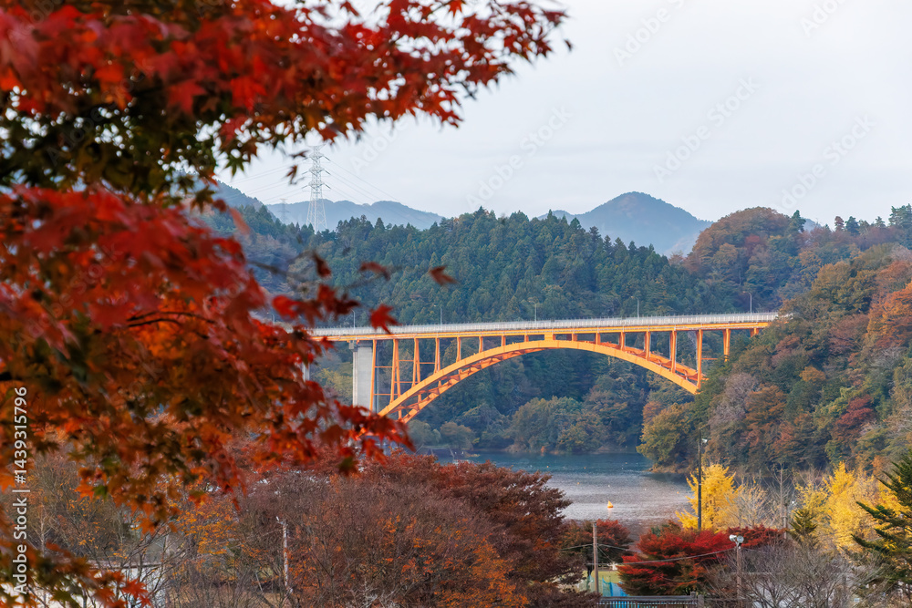美しい宮ヶ瀬湖と鉄橋
紅葉に彩られた美しい宮ヶ瀬湖。
神奈川県清川村、早戸川林道-2025年