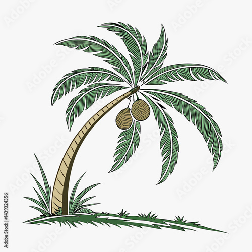 vector illustration of a palm tree