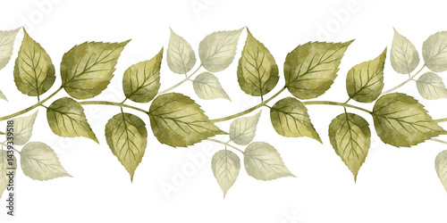 Seamless border of green foliage in watercolor technique on a white background. Suitable for product packaging, eco-friendly branding, botanical prints, invitations, and natural-themed decorations.
