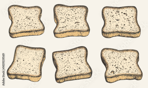 Vintage Toast Bread Slices Sketch Illustration in Minimalist Engraving Style Vector