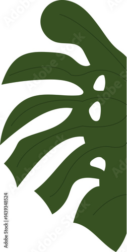 Monstera deliciosa leaf vector 