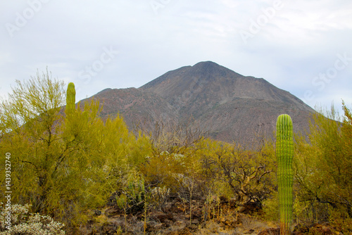 View of the Volcano Tres Vírgenes, Baja California Sur, Mexico