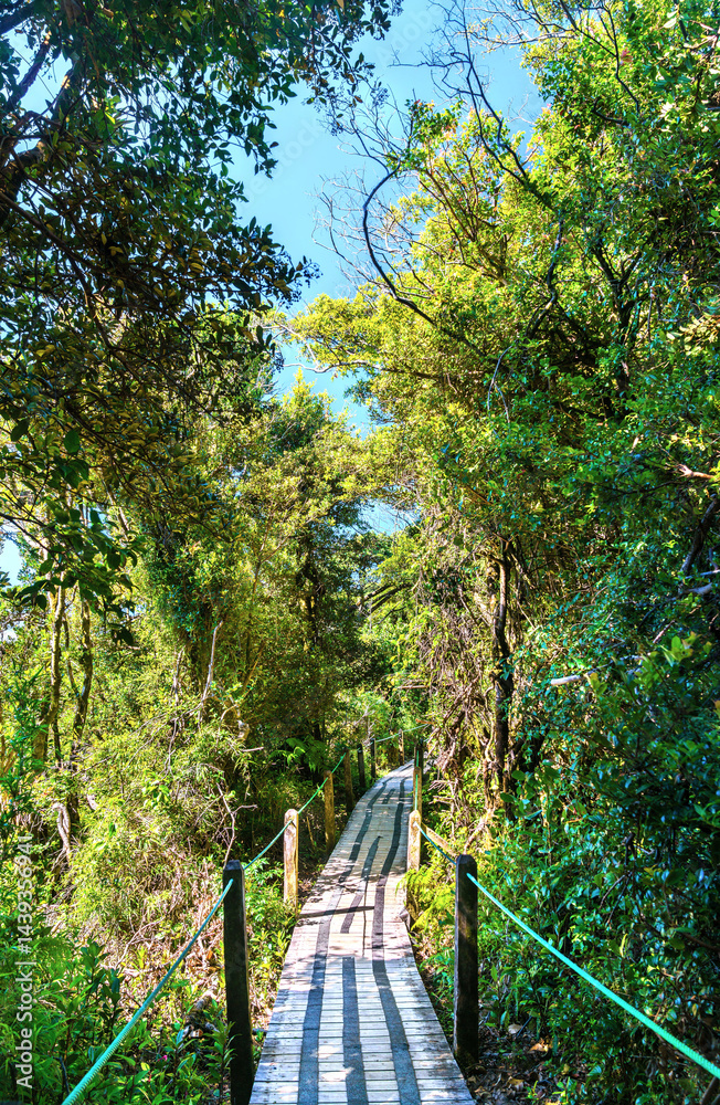Footpath at Poas Volcano National Park in Costa Rica