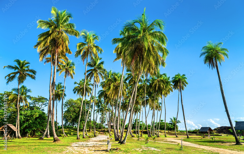 Park at Buzare Point in Cayenne, French Guiana