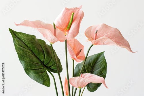 Enliven Your Space: HomeDecor PinkPlant Isolated On White Background.