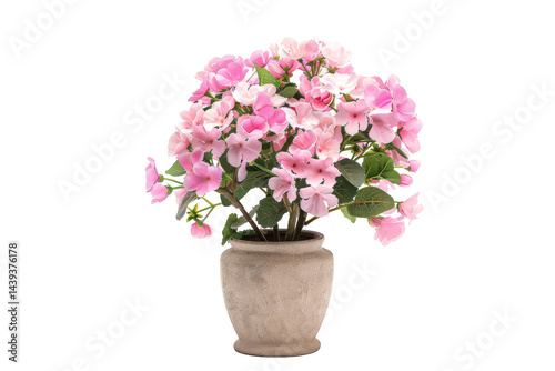 Wallpaper Mural Charming Decor Accent: Blush Blossom Artificial Plant Isolated On White Background. Torontodigital.ca