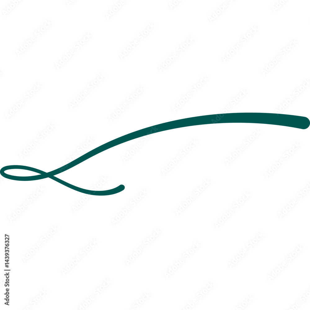 Hand Drawn Swash Line Hand Drawn Swash Line