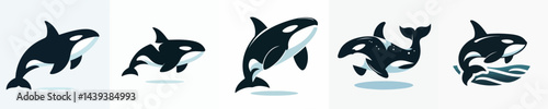 Vector of a killer whale (orca) silhouette.