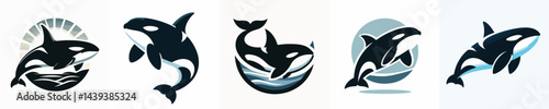 Vector of a killer whale (orca) silhouette.