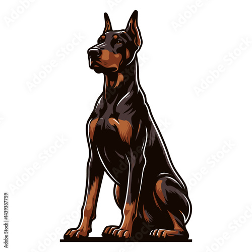 Doberman vector and illustrations.