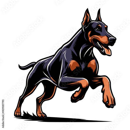 Doberman vector and illustrations.