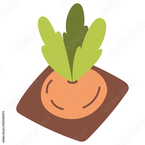 carrot plant illustration