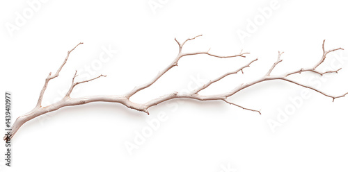 Obraz na płótnie A bare, gnarled branch isolated on white background w salonie