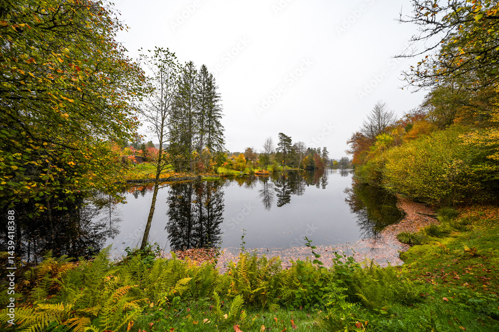 Obraz premium Landscape at the Sägmühlweiher pond in Ludwigswinkel. Nature at the lake in autumn. Reservoir at the edge of the forest. 