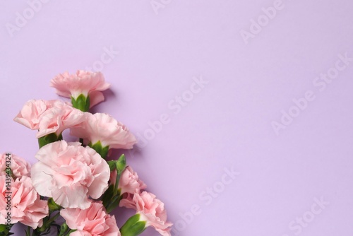 Beautiful bouquet of pink carnations on color background