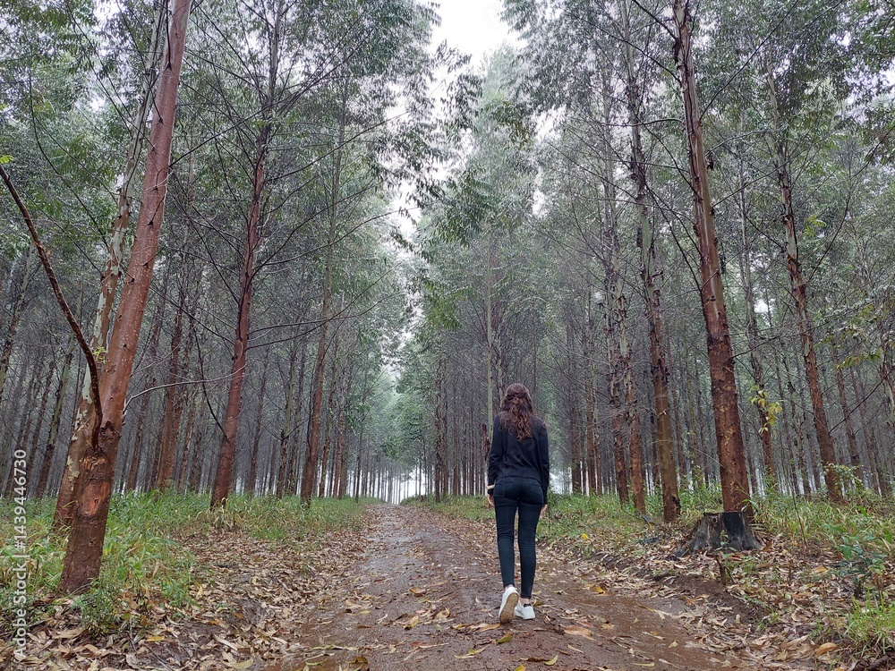 woman walking among trees woman walking among trees