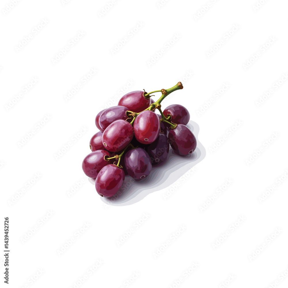 Fototapeta premium Fresh grape vector image in 3D