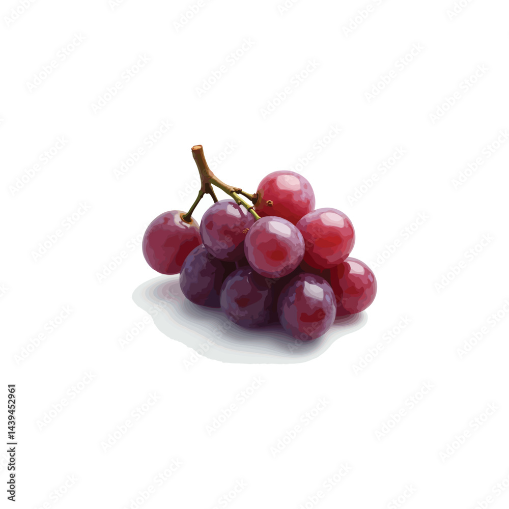 Fresh grape vector image in 3D Fresh grape vector image in 3D