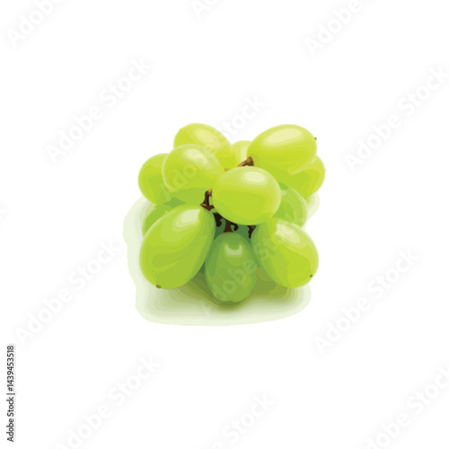 Fresh grape vector image in 3D