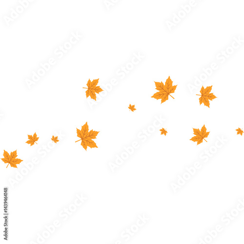 Maple Leaf Illustration