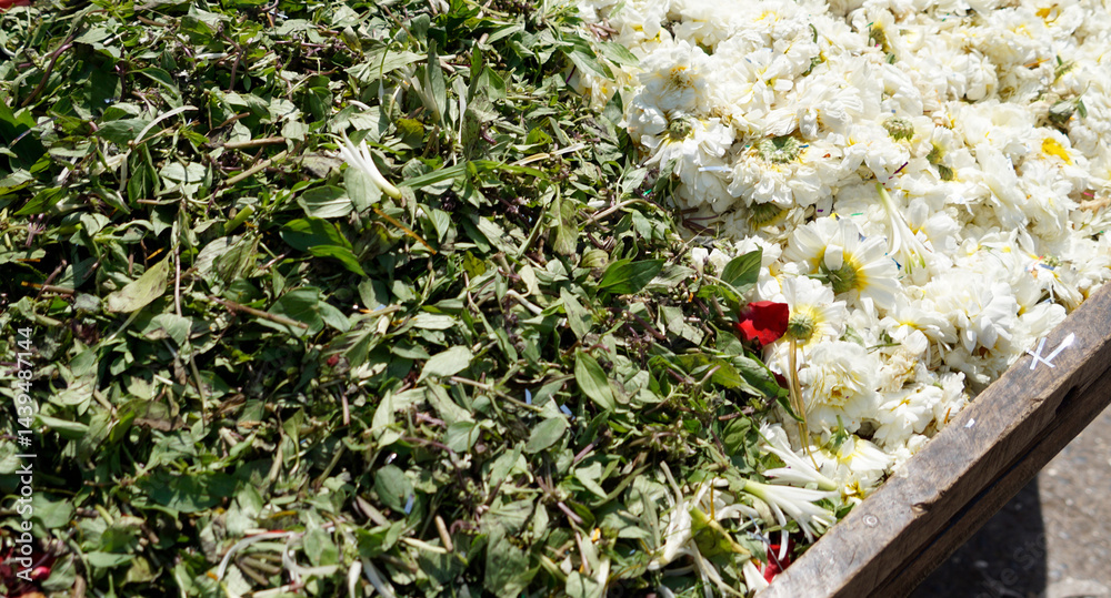 fresh vegetables on a local market in mumbai, india