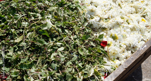 Obraz na płótnie fresh vegetables on a local market in mumbai, india w salonie