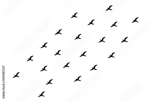 Silhouette of a flock of birds flying in the sky isolated on white background
