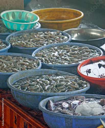 Obraz na płótnie fish on a local market in mumbai w salonie