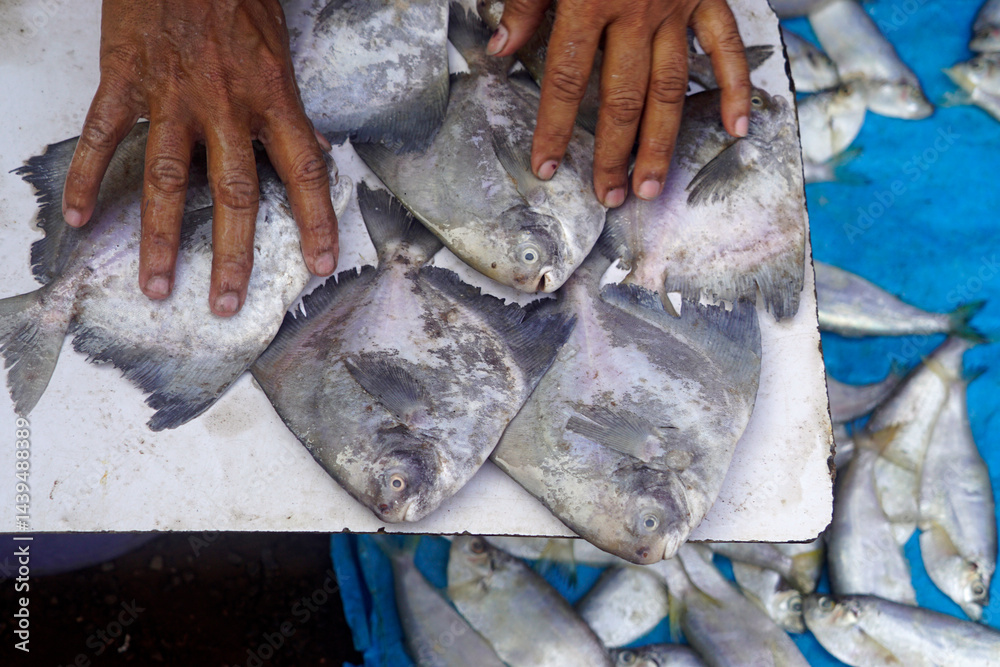 fish on a local market in mumbai