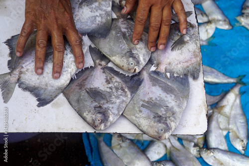 Obraz na płótnie fish on a local market in mumbai w salonie