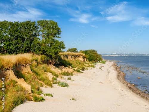 Coastline with sandy beach and cliffs with coastal vegetation near Stein village along Kiel Fjord, Schleswig-Holstein, Germany