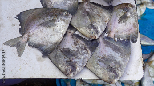 Obraz na płótnie fish on a local market in mumbai w salonie