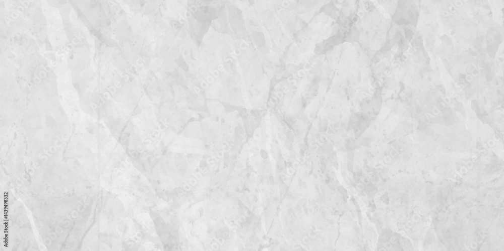 Fototapeta premium abstract grey marble cement wall background, grunge polished concrete outdoor material texture, white marble luxury wall at classic home building background.