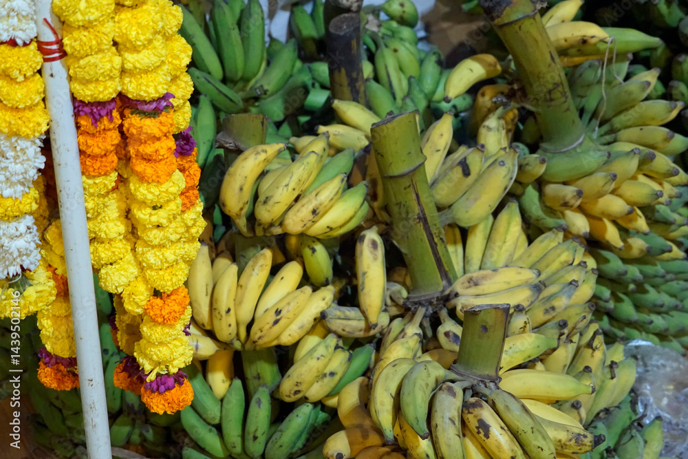 hindu banana festival in goa