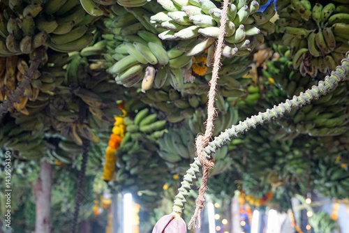 Obraz na płótnie hindu banana festival in goa w salonie