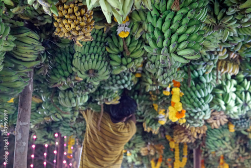 Obraz na płótnie hindu banana festival in goa w salonie
