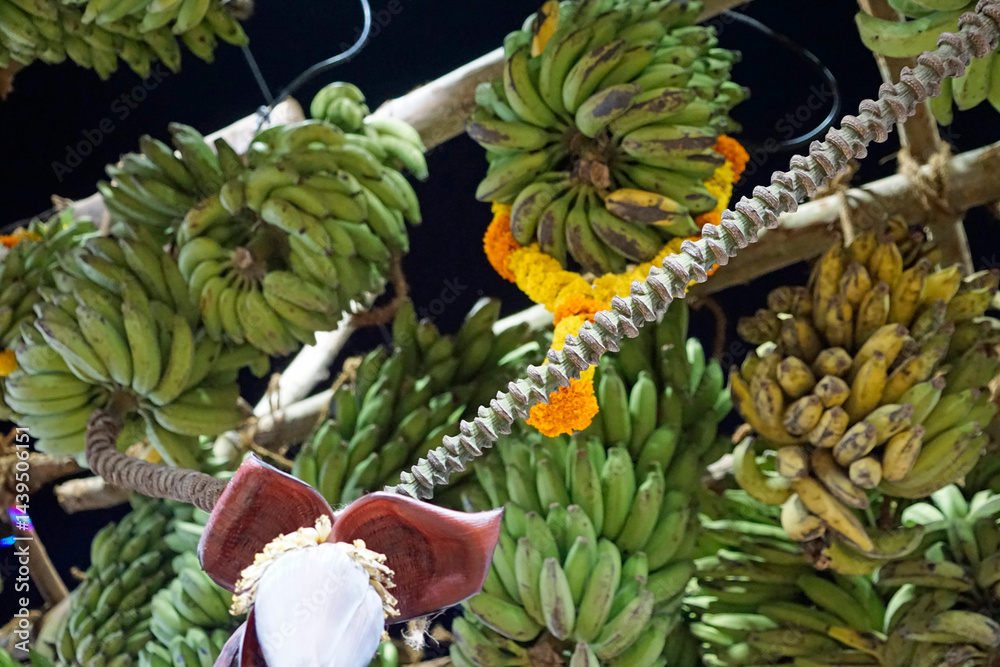 hindu banana festival in goa