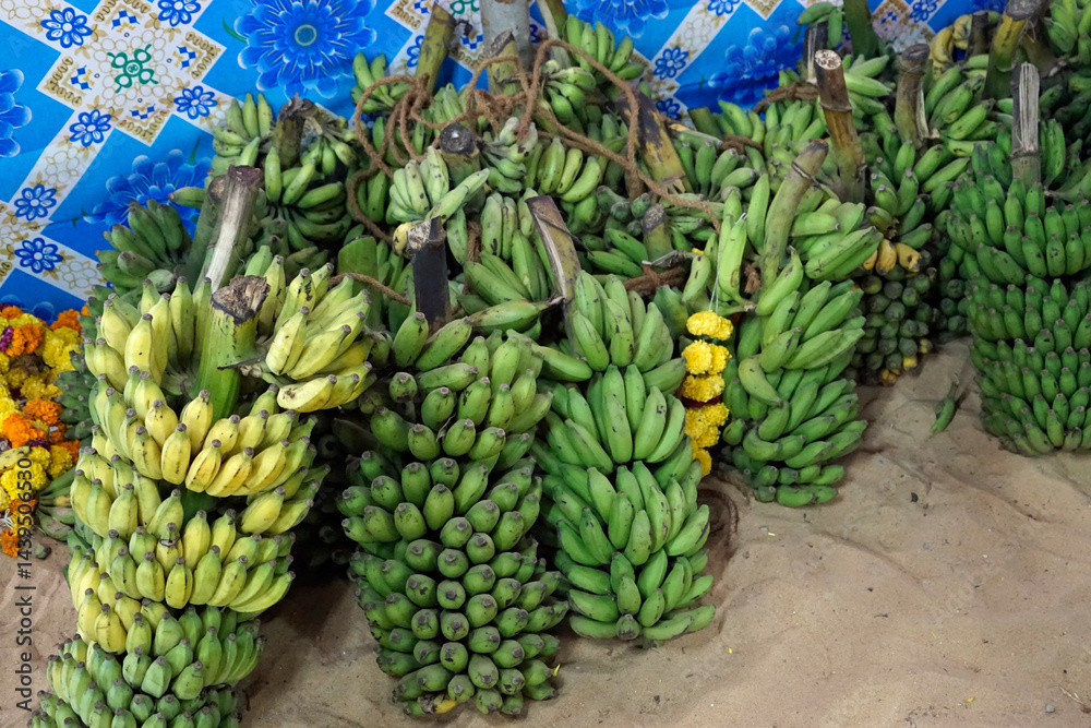 hindu banana festival in goa