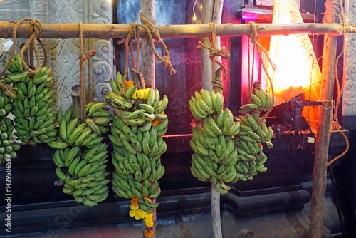 hindu banana festival in goa