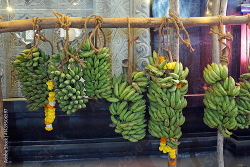 hindu banana festival in goa