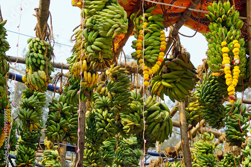 Obraz na płótnie hindu banana festival in baga goa w salonie