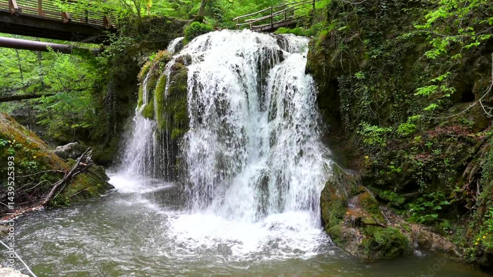 waterfall in the forest, 4k, slow motion waterfall in the forest, 4k, slow motion
