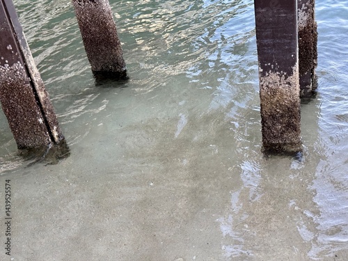 Pillars partially submerged in clear shallow water, covered with barnacles and algae near a sandy beach.