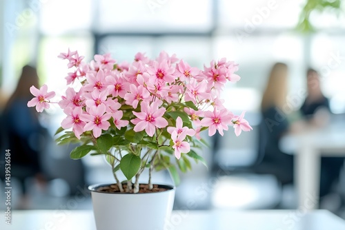 A Blooming Pink Flower Centerpiece Enhancing an Elegant Office Setting