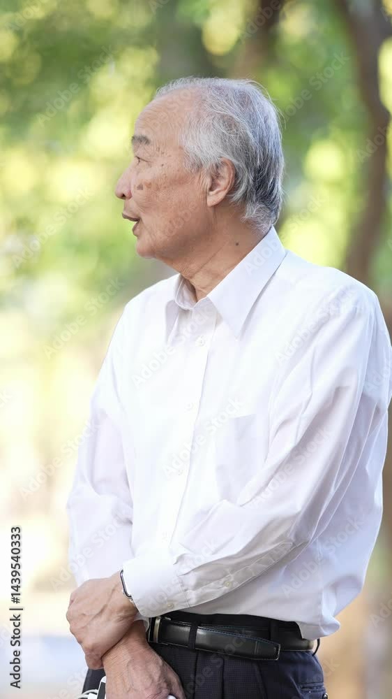 In the dappled sunlight of a spring natural park, a Japanese man in his 70s wearing a white shirt stands, holding a smartphone and talking. A vertical video captures the peaceful park atmosphere. In the dappled sunlight of a spring natural park, a Japanese man in his 70s wearing a white shirt stands, holding a smartphone and talking. A vertical video captures the peaceful park atmosphere.