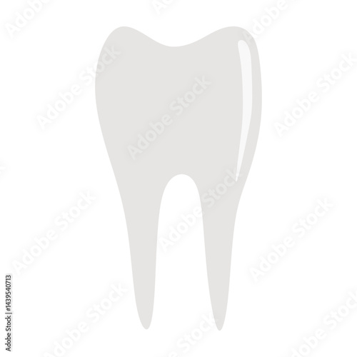 tooth isolated vector