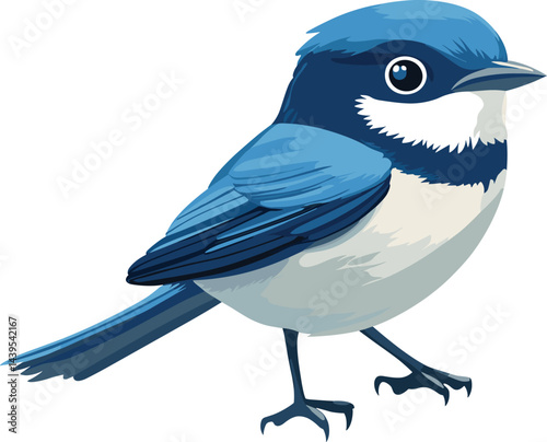 blue tit isolated on white background